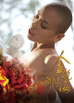 金瓶梅TheForbiddenLegend影像andChopsticks2008