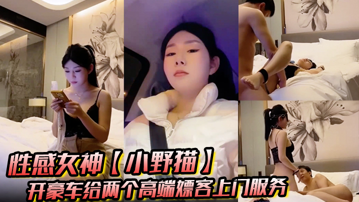 性感女神_小野猫_开豪车给两个高端嫖客上门服务猥琐大叔喜欢玩SM帅哥还算正常吹箫热身亲密