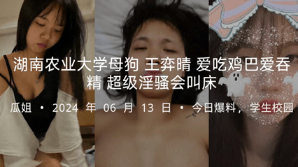 湖南农业大学反差 王弈晴 爱吃道具爱吞精 超级淫骚会叫床