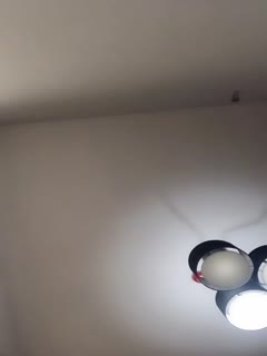 制服丁字裤颜值不错妹子私密秀喜欢边看小视频边私密跳蛋震动bb挺嫩很是诱惑喜欢不要错过